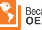 B ECAS PARA ESTUDIOS ACADÉMICOS ( OEA  – CIESI /  OEA FLACSO)